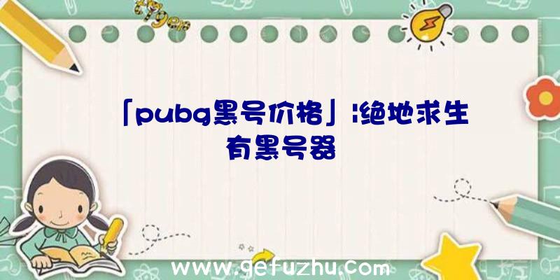 「pubg黑号价格」|绝地求生有黑号器